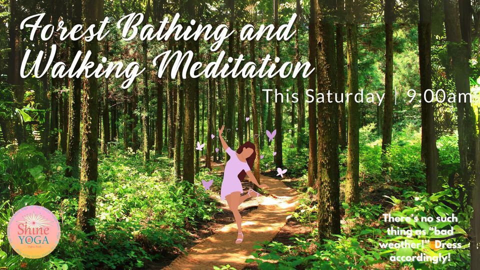 Forest Bathing and Walking Meditation, Shine Yoga, Virginia Beach, 16 ...
