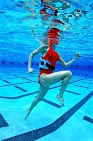 Danbury Aquatics Deep End Swim Deecember 2025 | Event in Lakeside Marblehead | AllEvents