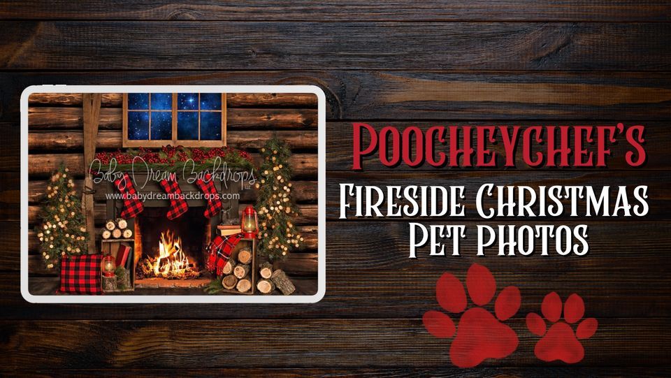 Fireside Christmas Pet Photos, Poochey Chef, Duncansville, November 26 ...