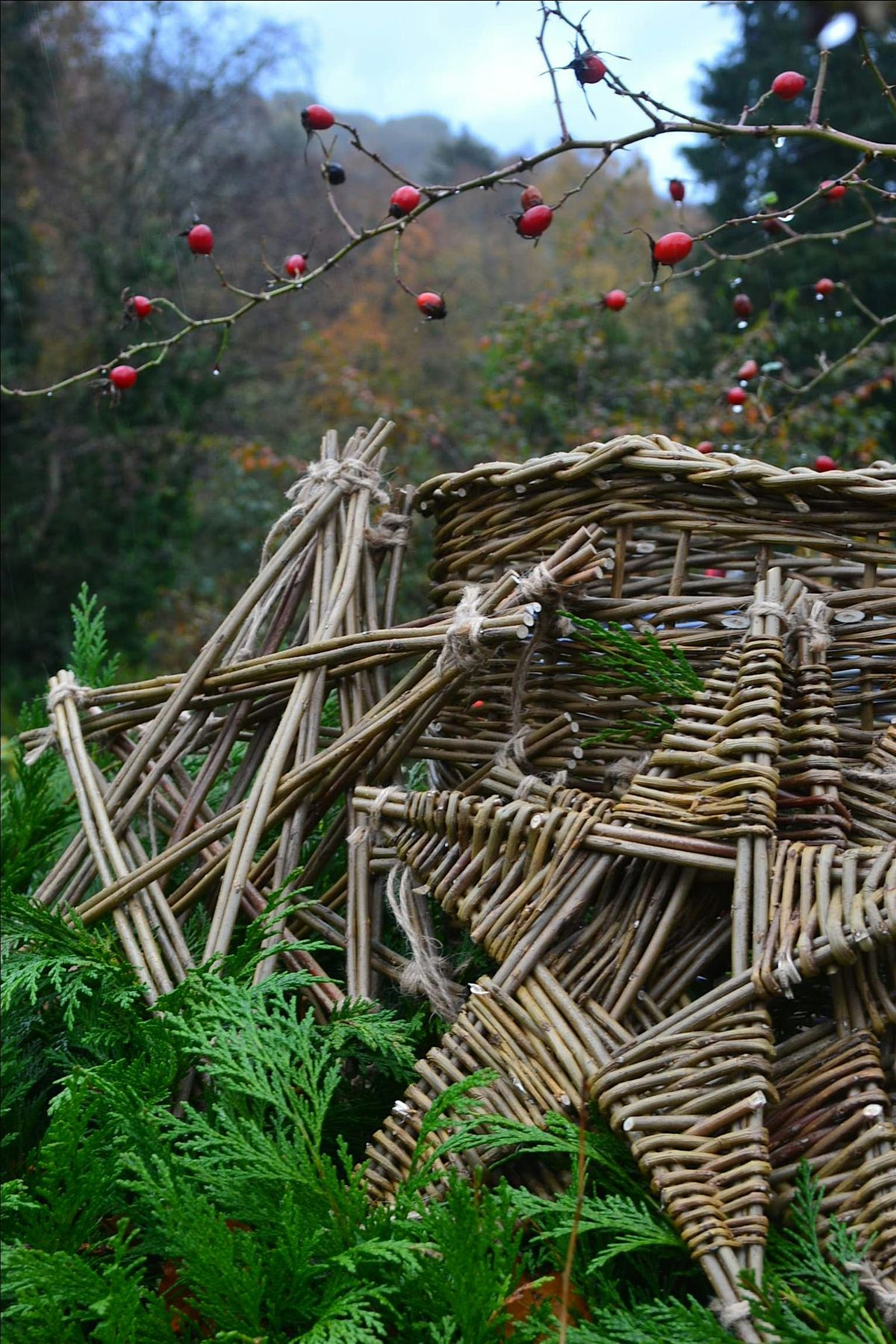 Willow Christmas decorations, Angels, stars, wreaths & trees, 1 day course, 28 November | Event in Bala