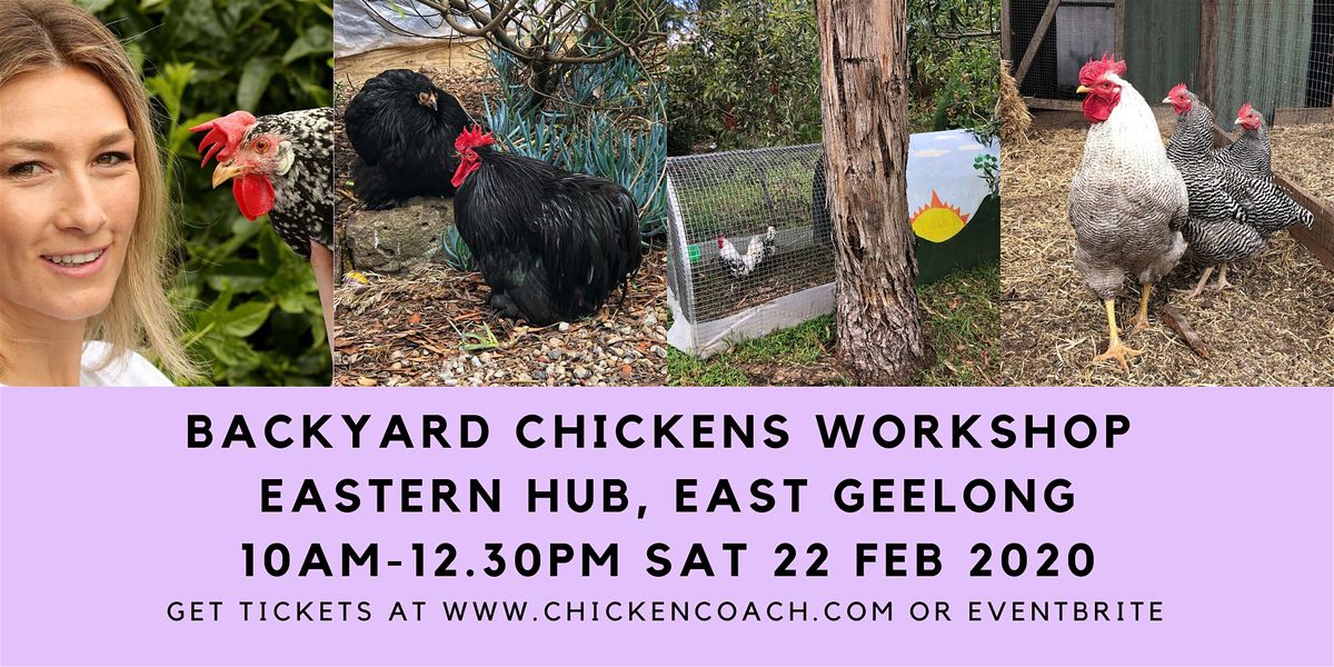 Chicken Workshop Simple Steps To Successful Backyard Chooks At