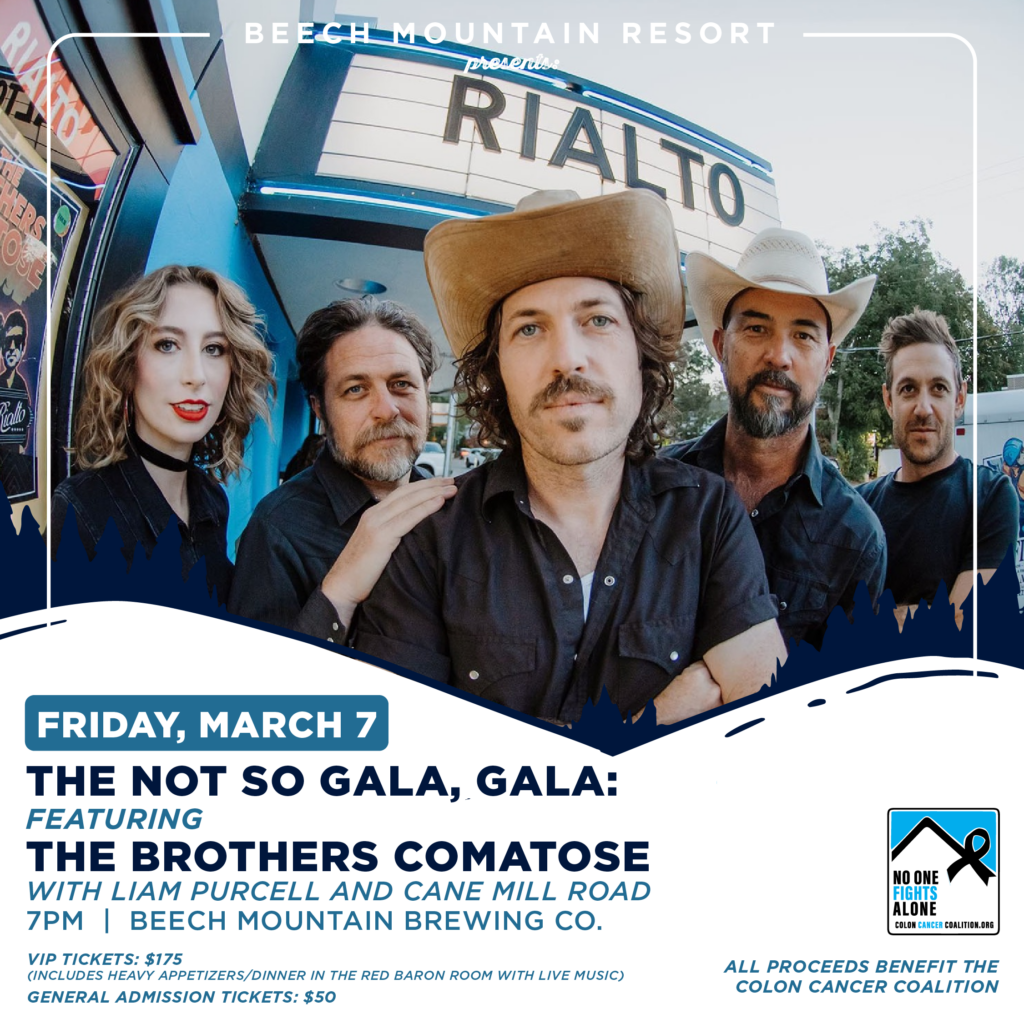 The Brothers Comatose at The Commonwealth Room, 8 November | Event in Salt Lake City | AllEvents