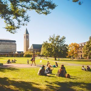 Parking Columbia Lions at Florida Gulf Coast Eagles Womens Basketball
