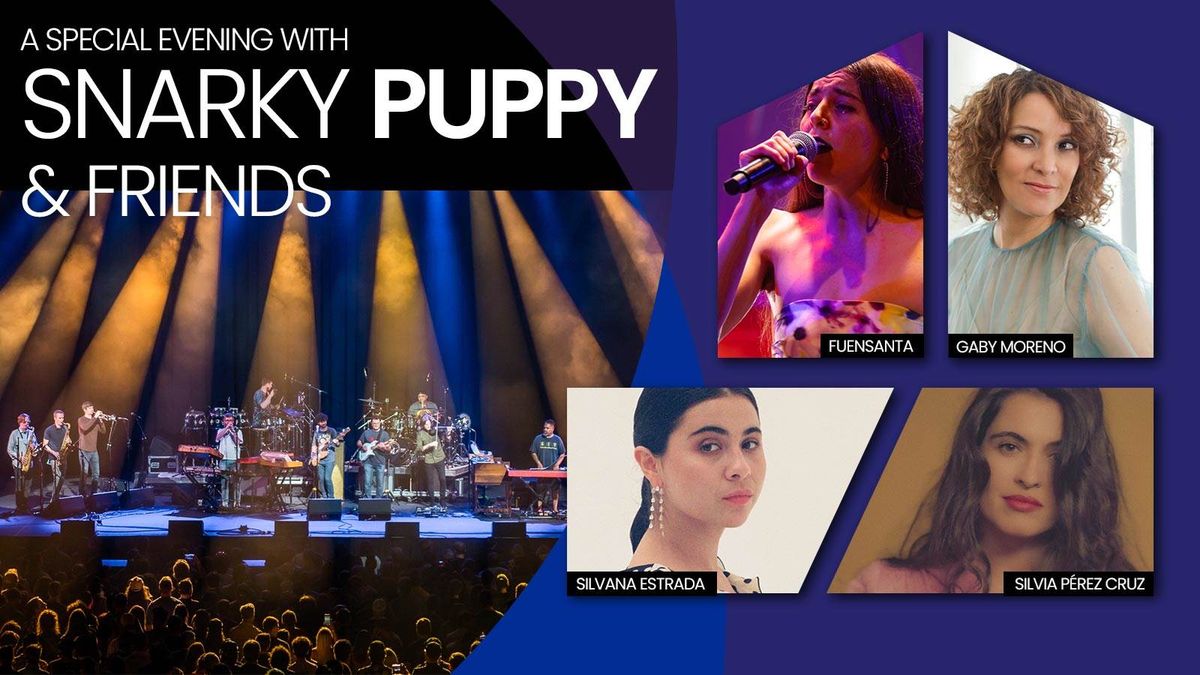 Snarky Puppy, 24 August | Event in Napa | AllEvents