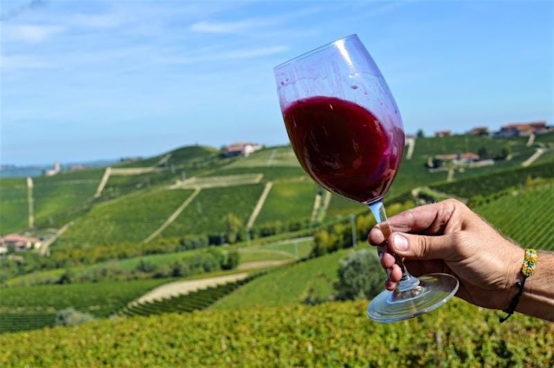 Discover the Wines of Piemonte, Italy, 3 February | Event in Sanibel | AllEvents