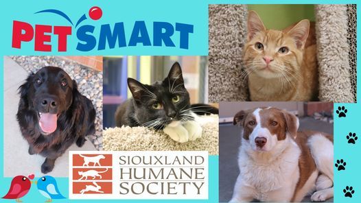 Petsmart Offsite Adoption Event Petsmart Sioux City Ia Us May 22 2021 Allevents In Petsmart Christmas Hours 2021