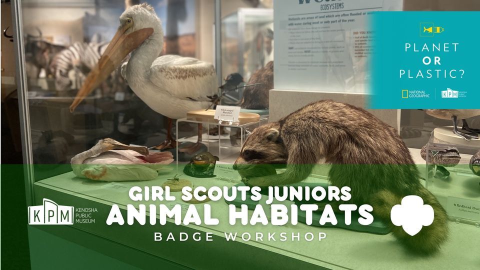 Girl Scouts Juniors Badge Animal Habitats, Kenosha Public