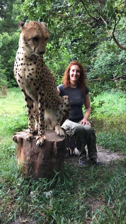 Riq2cc7lhyjkhm Chatsworth Ca. Arts Festival 2022