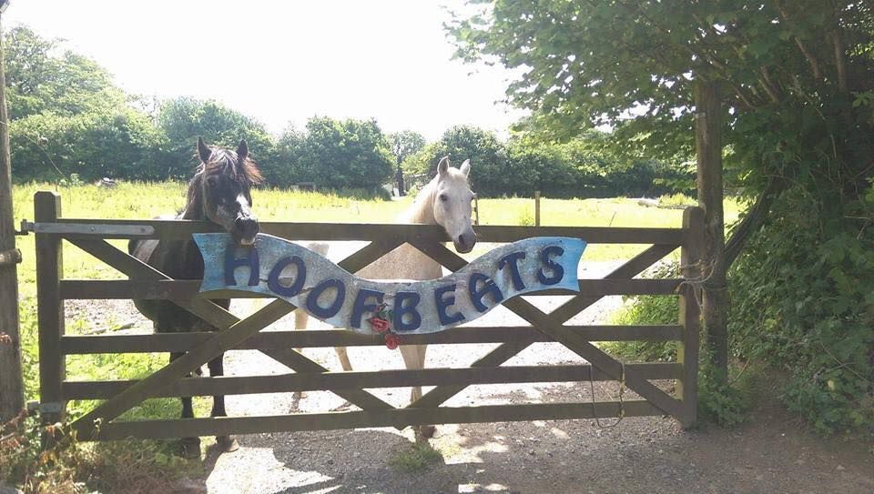 Flash Tack and rug sale , The Farmyard Cafe, Plymouth, 14 September