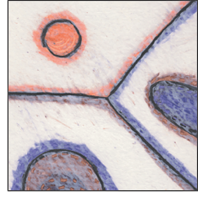 Wellcome/CRUK Gurdon Institute logo