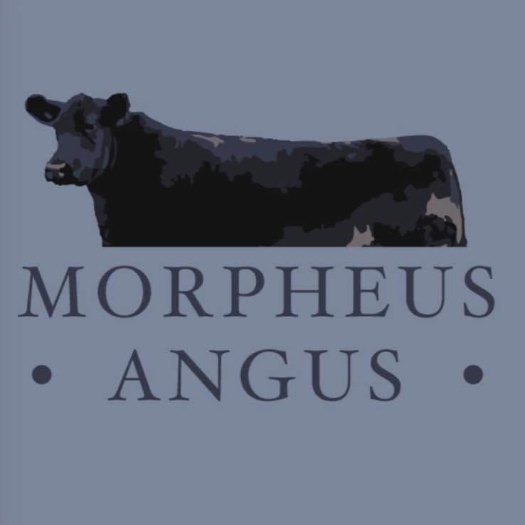 Morpheus YDP 2023, Cuddington Lane, Northwich, CW8 2, United