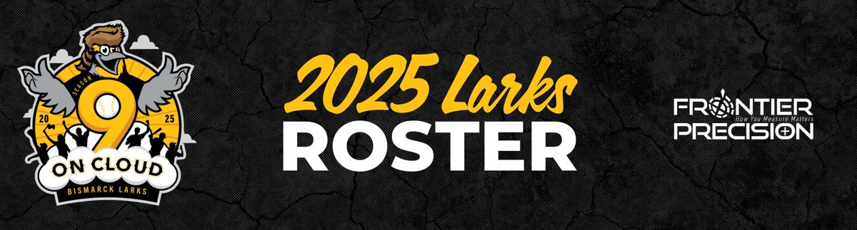Bismarck Larks vs. Mankato Moondogs, 19 July | Event in Bismarck | AllEvents