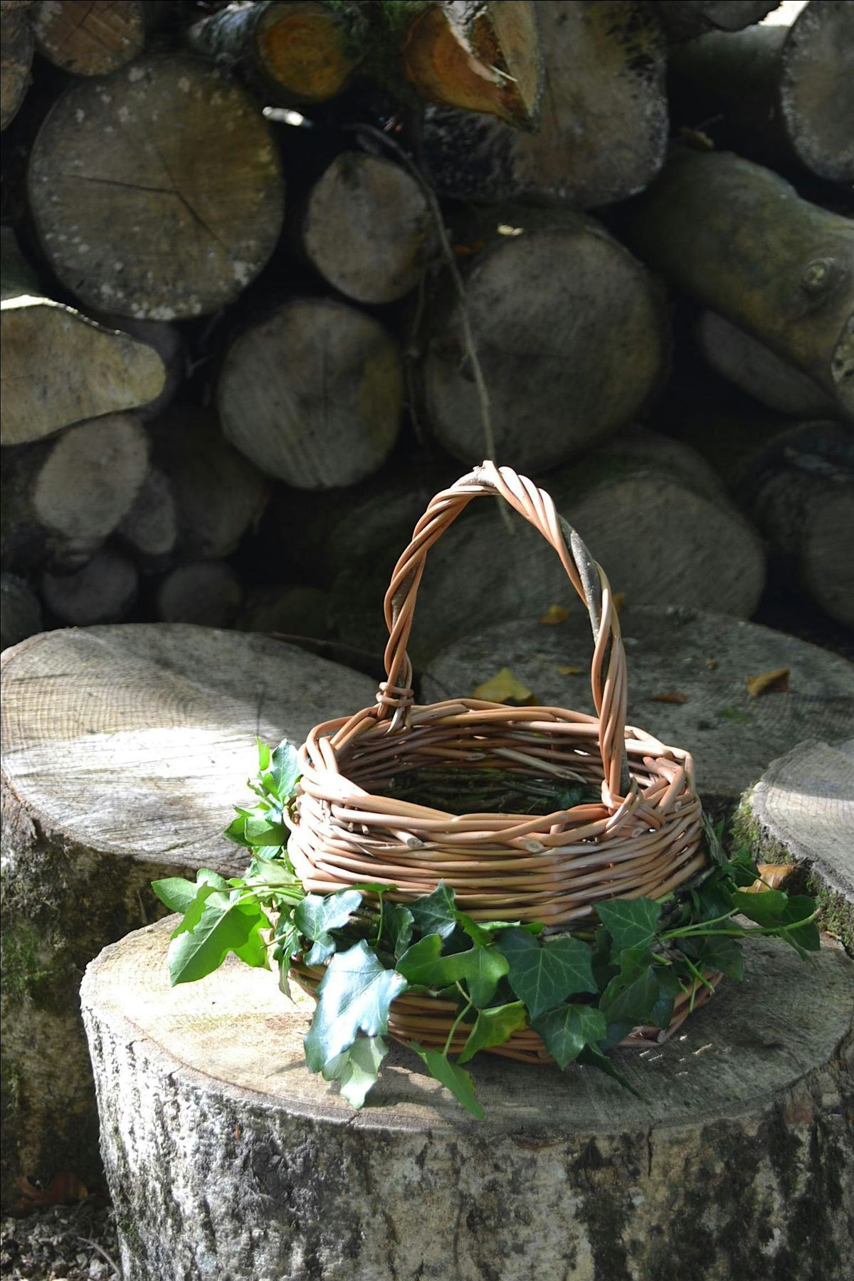 Foraging Basket - learn to weave a willow basket, 3 October | Event in Bala | AllEvents