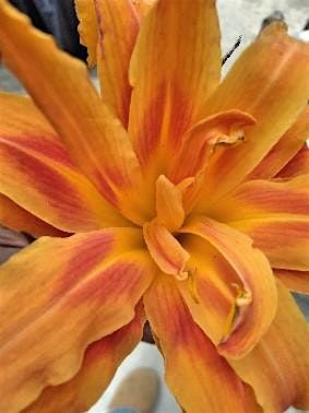 Praise & Paint Party | Event in Detroit | AllEvents