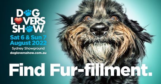 Perfect Match Events List Of All Upcoming Perfect Match Events In Marrickville Match.com Events 2022