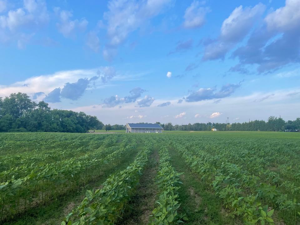 Jersey Acres Sunflower Festival 2023, 65 Eayrestown Rd, Medford, NJ