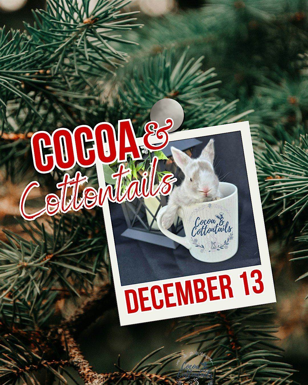 Cocoa & Cottontails, 13 December | Event in Ramona | AllEvents
