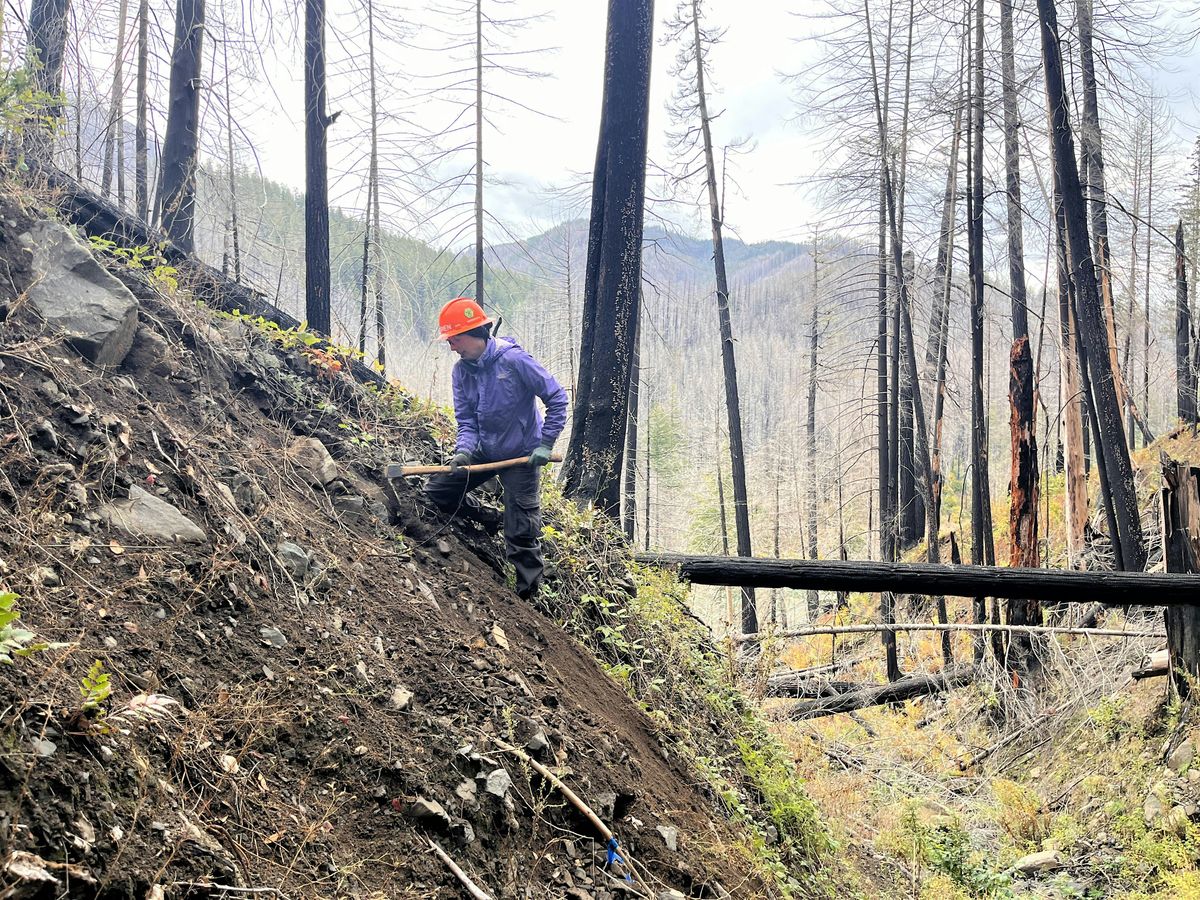 Dry Ridge Trail Party - Mt. Hood, 19 December | Event in Estacada | AllEvents