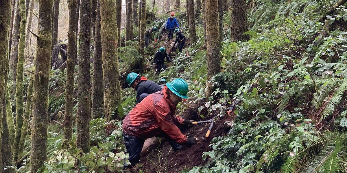 Private: WoE Trail Party - Tillamook State Forest, 3 December | Event in Tillamook | AllEvents