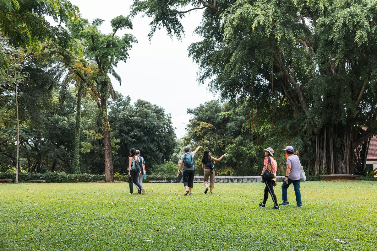 From Seed to Tree: Fort Canning (28 Mar 26), Fort Canning Park ...