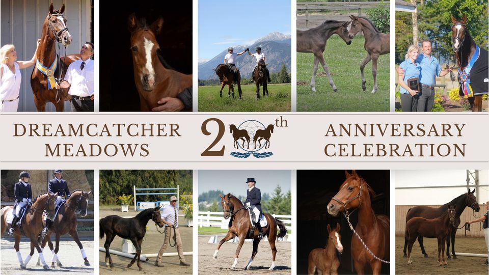 Hanoverian Foal Inspections (Dreamcatcher Meadows 20th Anniversary