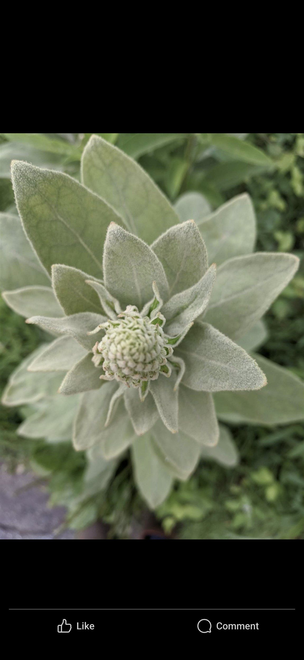 Monday Mountaineers! Lower Tillmans --> Red Maple --> Shay, 1 December | Event in Branchville | AllEvents