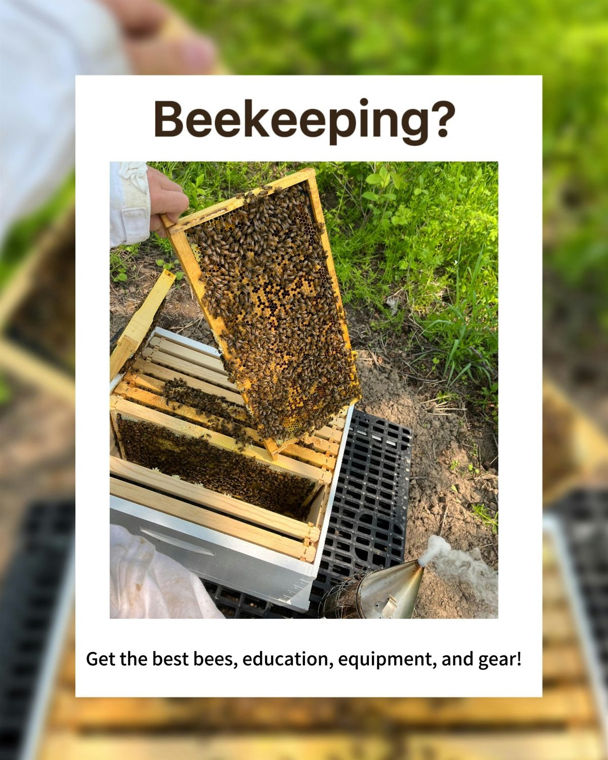 Beekeeping 101: Two Part Course  9am--3pm  January 23rd and 24th