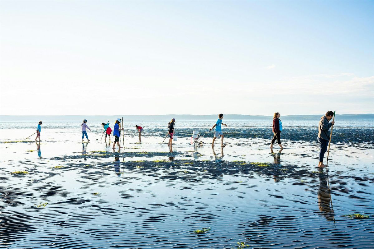 Clam digging experience, 245 Major Point Rd, Church Point | AllEvents