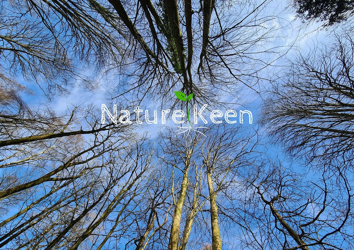 Wednesday Wellness Walk / Taith Gerdded Lles