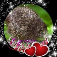 User profile photo