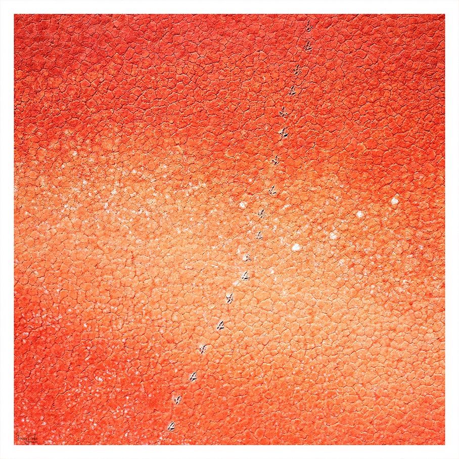 Artist Exhibition Open Night Aerial photography, Metalwork sculptures