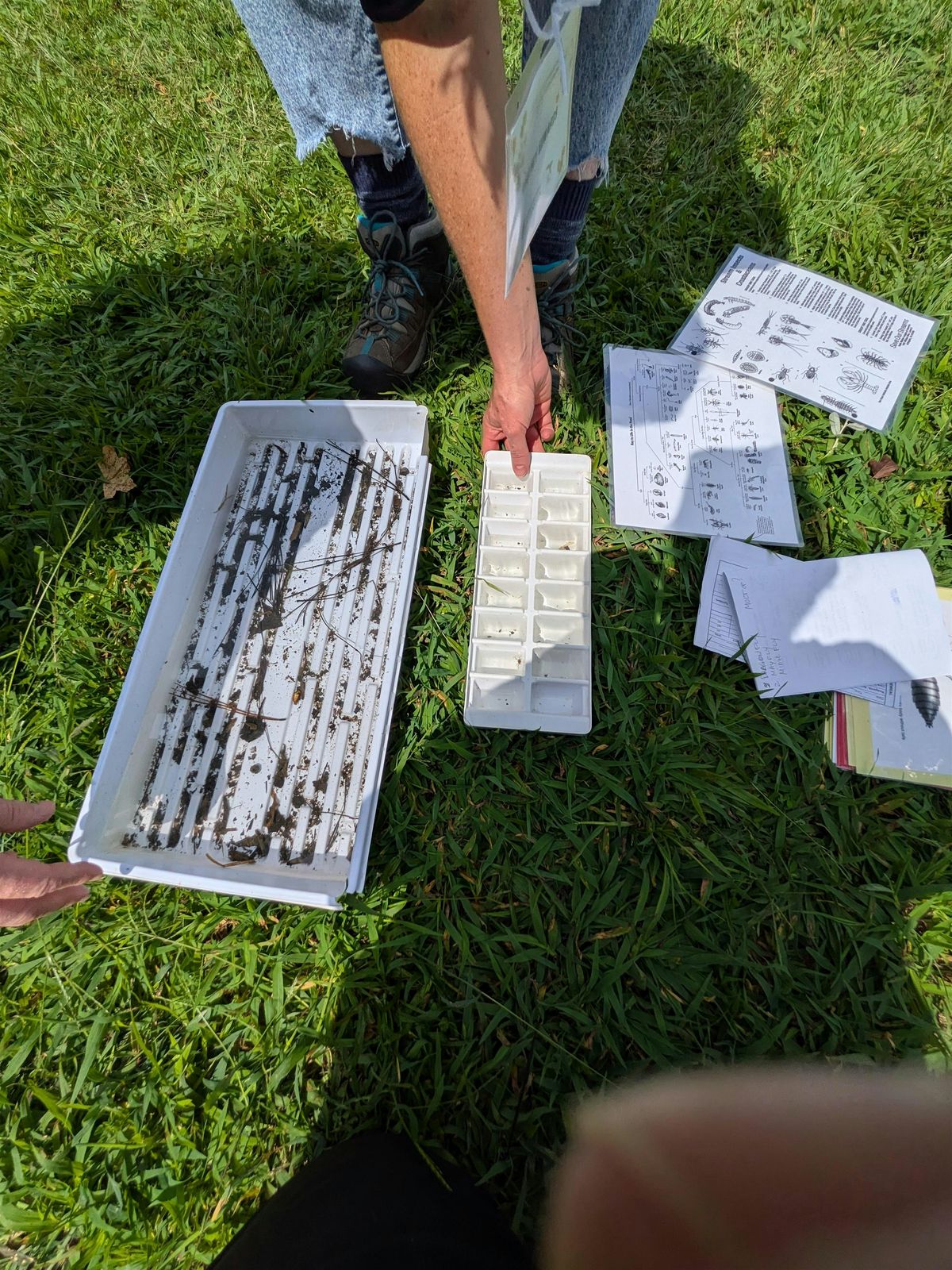 Georgia Adopt-A-Stream Macroinvertebrate Monitoring Workshop, 10 January | Event in Marietta | AllEvents