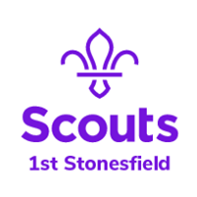 Stonesfield Scouts