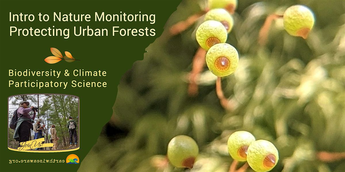 Introduction to Nature Monitoring – Protecting Urban Forests, 13 April | Event in Medford | AllEvents