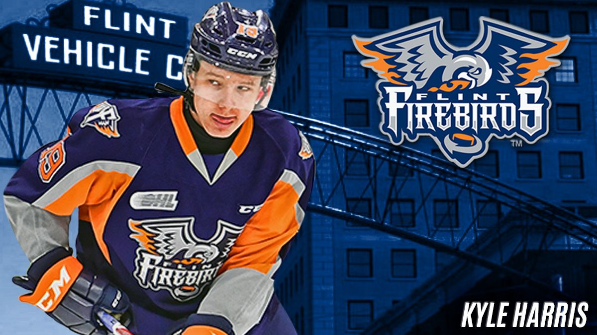 Parking Windsor Spitfires at Flint Firebirds, 28 December | Event in Flint | AllEvents