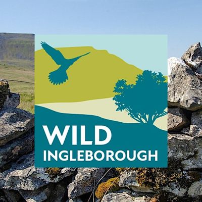 Wild Ingleborough logo