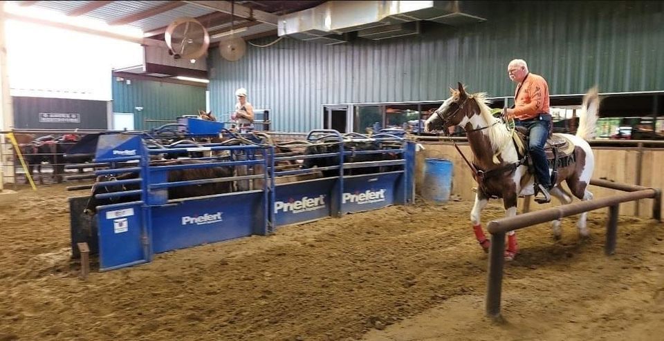 Thursday Night Team Roping Practice (Red Oak, Texas), Lone Star Cowboy ...