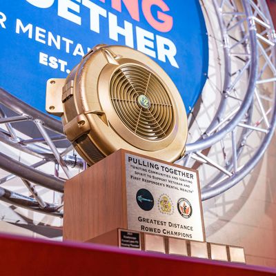 Pulling Together for Mental Health logo