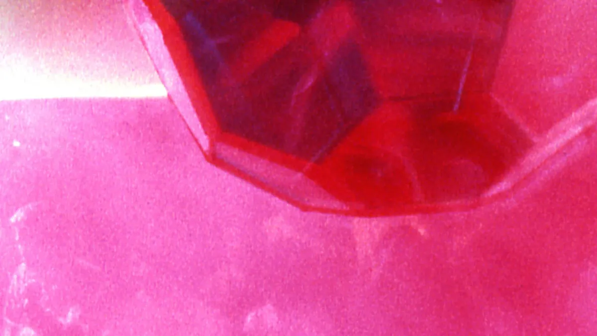 Tourist in Bruxelles - Brussel, 8 March | Event in Brussels | AllEvents