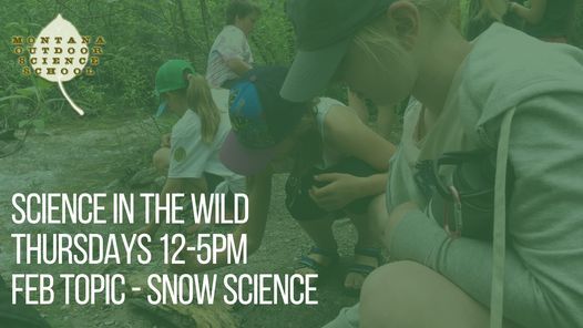 Snow Science February Science In The Wild Afternoons Montana Outdoor Science School Bozeman February 4 2021 Allevents In snow calendar 2021 bozeman
