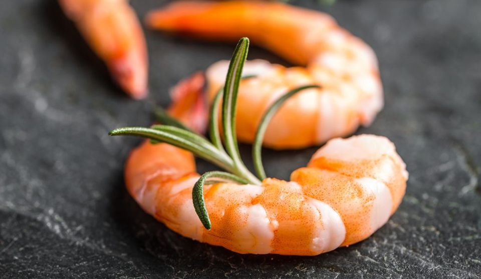 SUPPER CLUB, Plum's Cooking Company, Harrisburg, December 27 2023