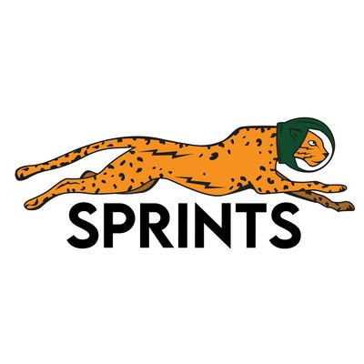 Sprints INC