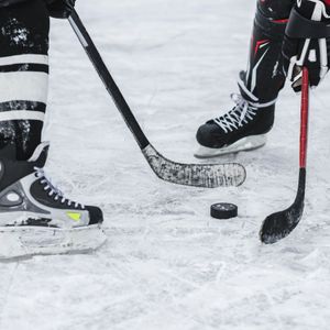 Anaheim Ducks at Pittsburgh Penguins, PPG Paints Arena, Pittsburgh
