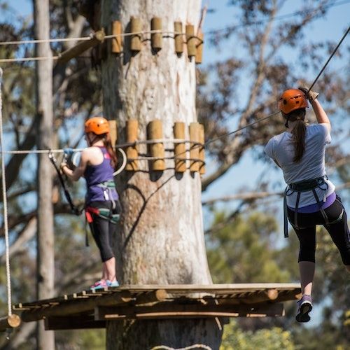 Treetops Adventure: Nowra Park, Trees Adventure - Nowra Shoalhaven Park ...