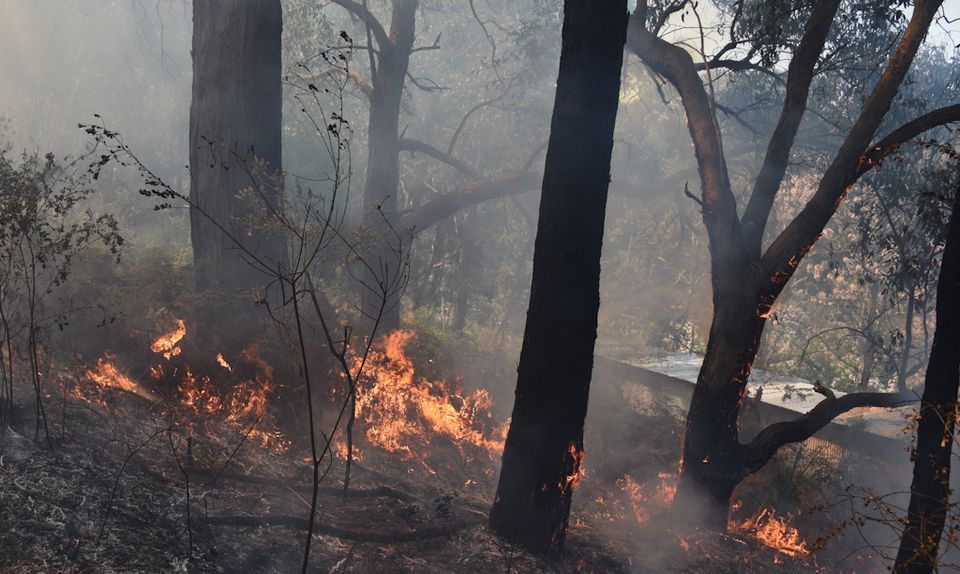 Stirling Ranges Fire Breakfast with Fire, Basket Range CFS, Stirling, 18 February 2024 ...