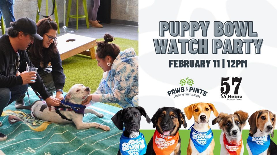 Puppy Bowl Watch Party, Paws and Pints, Des Moines, February 11 2024