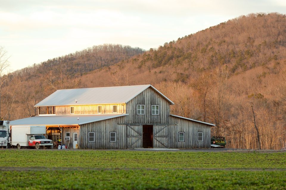 Rise n Shine Spring Farm Tour, Rise 'N Shine Organic Farm, Calhoun, 3 April