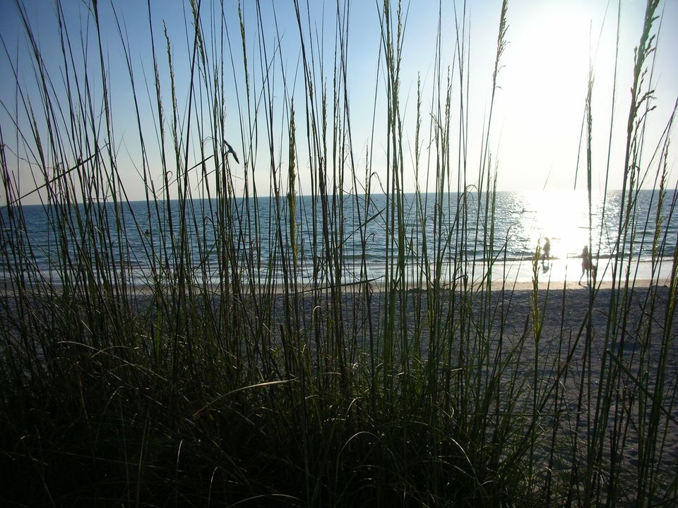 March Emergency Responst Team Service Day, Leaving from Southwest