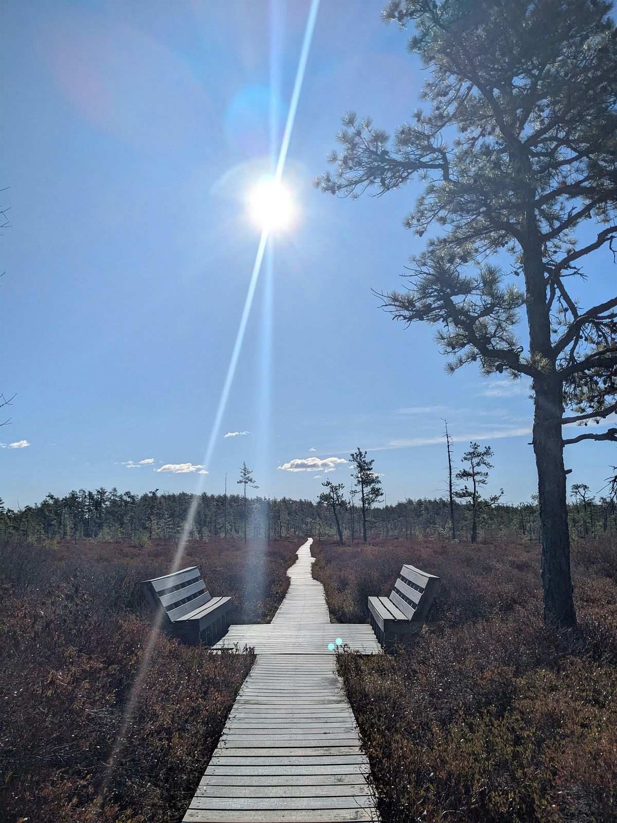 MTN OUTdoors: Welcoming Winter at the Bog, 14 December | Event in Saco | AllEvents