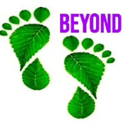 Beyond Organic 777 logo